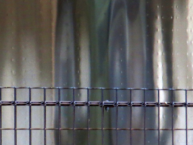 2025/08/15(4)@