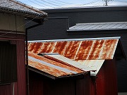 2025/10/24(1)@鎭AΖt