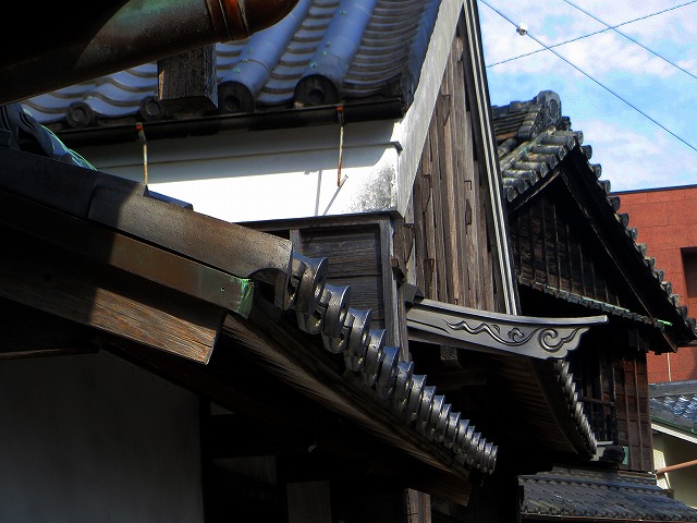 2025/11/21(4)@ɐA͍{ʂ