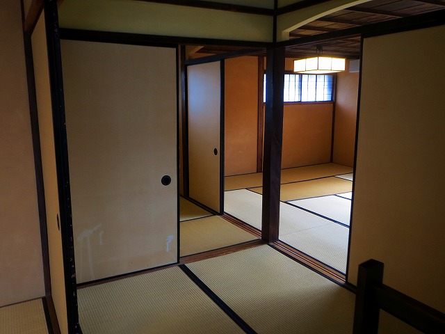 2025/11/21(7)@ɐAɐ͍菤l