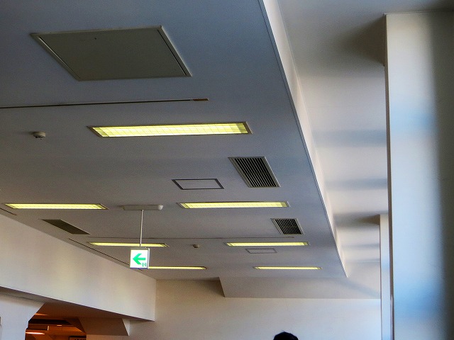 2025/11/29(2)@ɐAFRcwKc̑ҍ