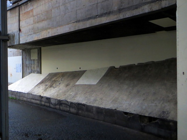 2025/12/21(4)�@���