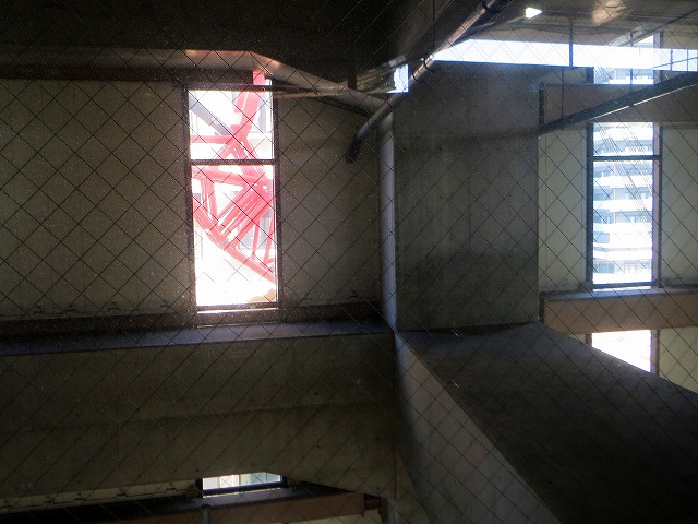 2026/01/17(1)�@�m���w