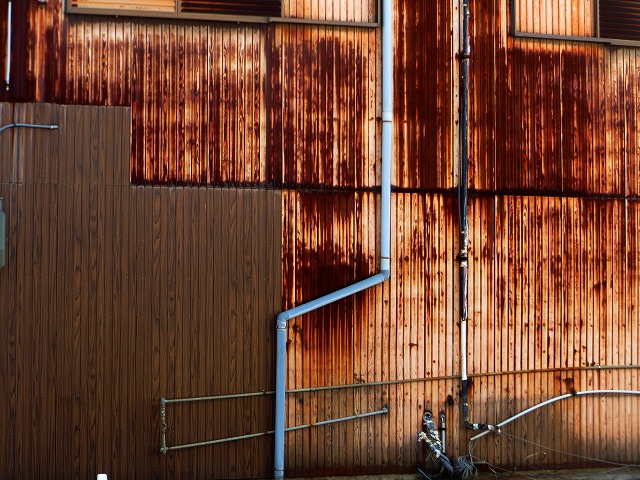 2026/01/17(3)�@�ɓ�