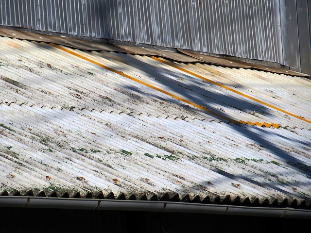 2026/01/17(4)�@�ɓ�