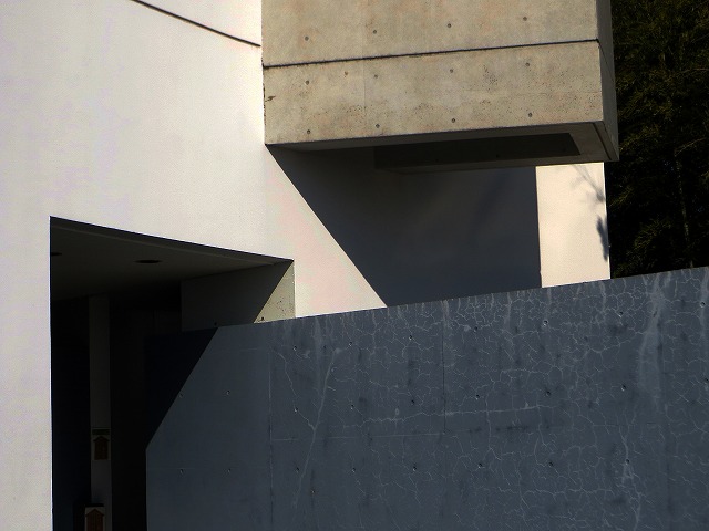 2026/01/17(6)�@�ɓ�