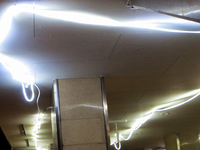 2026/01/17(8)�@���É�