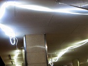 2026/01/17(8)�@���É�