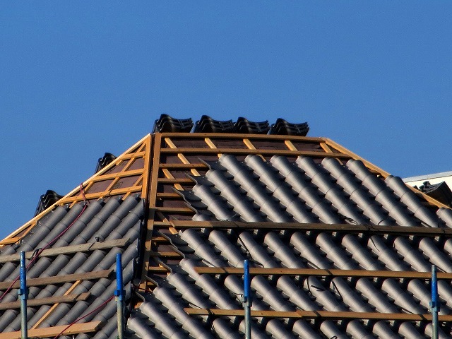 2026/01/18(1)�@����