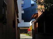 2026/01/18(8)�@����