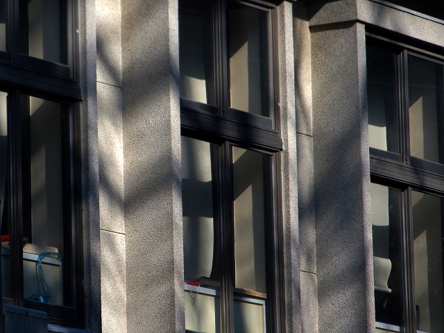 2026/01/18(10)�@����