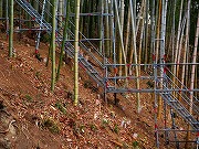 2026/02/05(6)�@�L�c