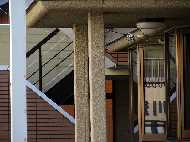 2026/03/01(5)�@����