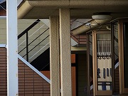 2026/03/01(5)�@����