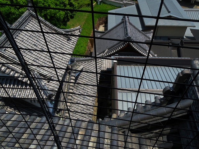 2026/05/25(7)�@����A�������