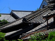 2026/05/30(4)�@����