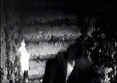 『女ヴァンパイア カーミラ』 1964　約1時間12分：欄干の脇の下り階段、ほぼ真上から
