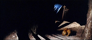 『ヴェルヴェットの森』 1973　約2分：湾曲階段をおりていく猫、上から