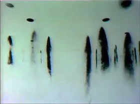 Standish Lawder "Corridor" 約15分 Standish Lawder "Corridor" 約15分