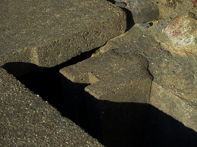 �Ẩ��^���Ȃǁ@2025/12/18(2)