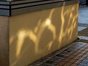 津の何某かなど　2026/01/27