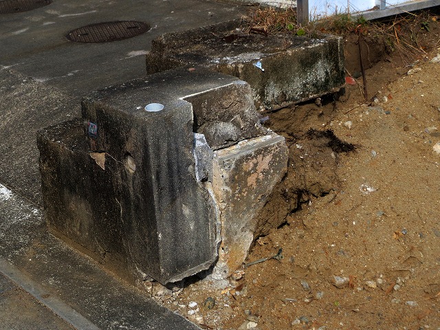 �Ẩ��^���Ȃǁ@2026/02/16(1)