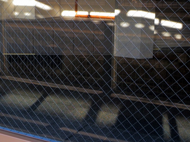 �Ẩ��^���Ȃǁ@2026/03/01