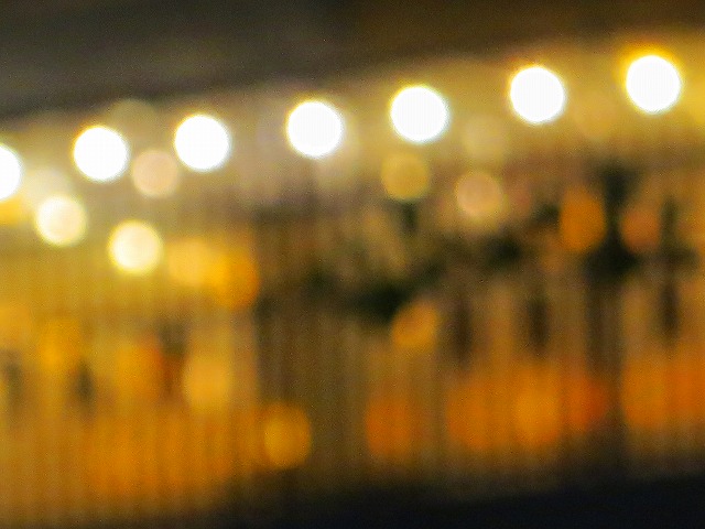 ẪI[I[@Ȃǁ@2025/07/09