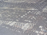 ẪI[I[@Ȃǁ@2025/07/23(2)