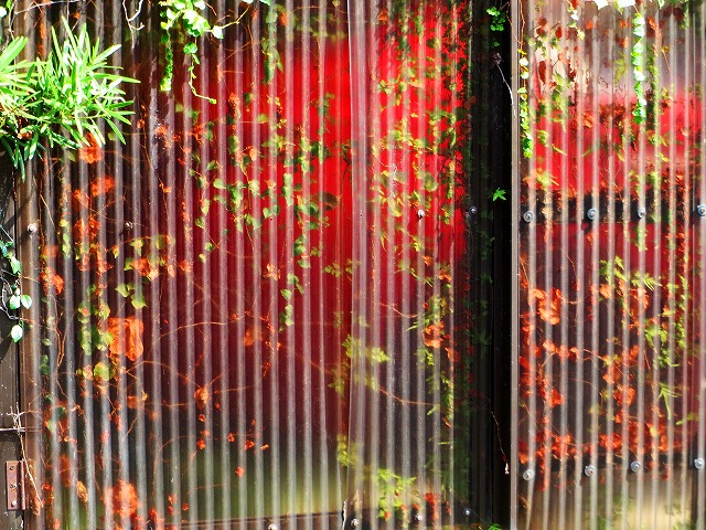 ẪI[I[@Ȃǁ@2025/09/10(1)