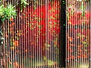 ẪI[I[@Ȃǁ@2025/09/10(1)