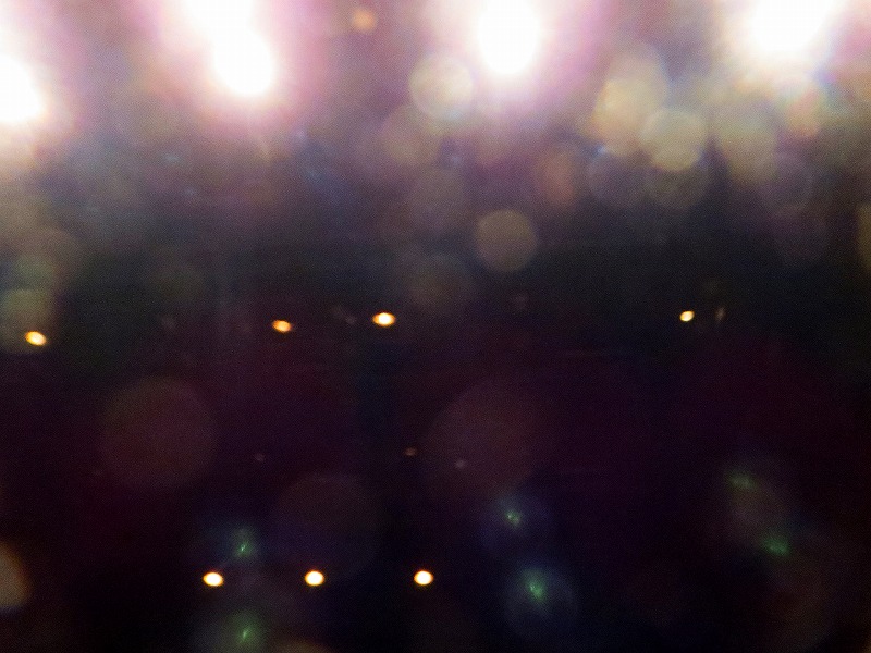 ẪI[I[@Ȃǁ@2025/09/14