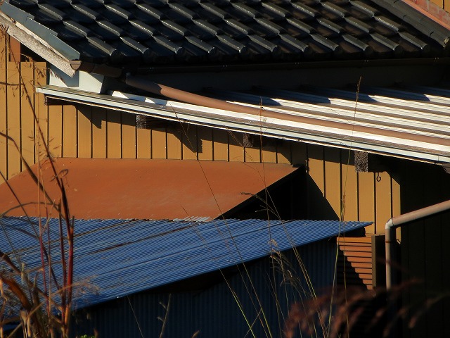 �ẪI�[���I�[���@�Ȃǁ@2025/12/16(1)