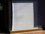 津のオールオーヴァなど　2025/12/16(2)