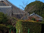 �ẪI�[���I�[���@�Ȃǁ@2025/12/18