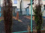 �ẪI�[���I�[���@�Ȃǁ@2025/12/29