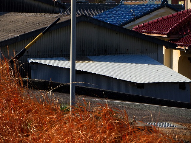 �ẪI�[���I�[���@�Ȃǁ@2026/01/19(1)