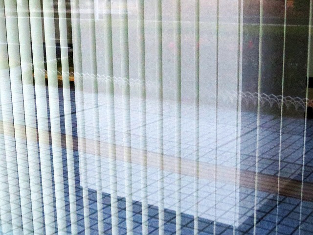 �ẪI�[���I�[���@�Ȃǁ@2026/02/19