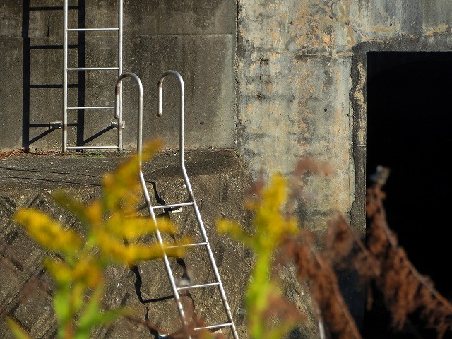 �Â̊K�i�Ȃǁ@2025/12/16(1)