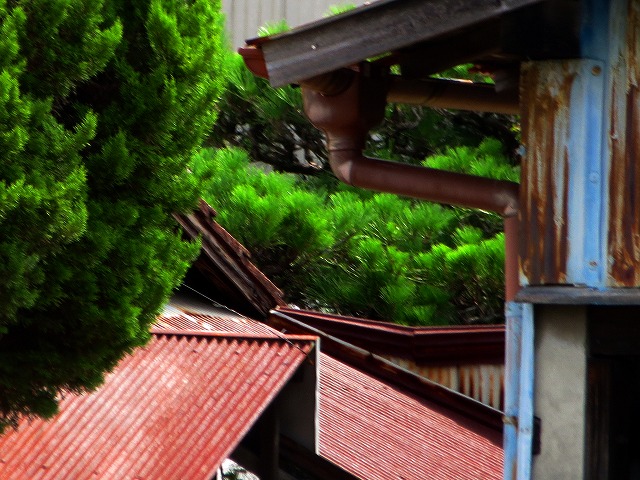 Â̊iqȂǁ@2025/07/12