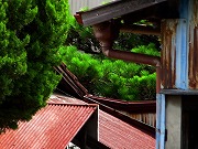 津の格子など　2025/07/12