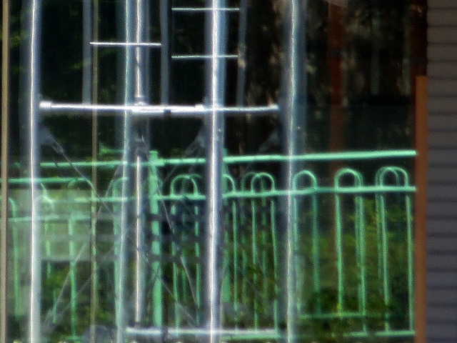 Â̊iqȂǁ@2025/08/01