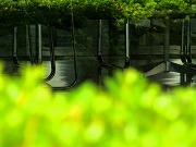 Â̊iqȂǁ@2025/11/18