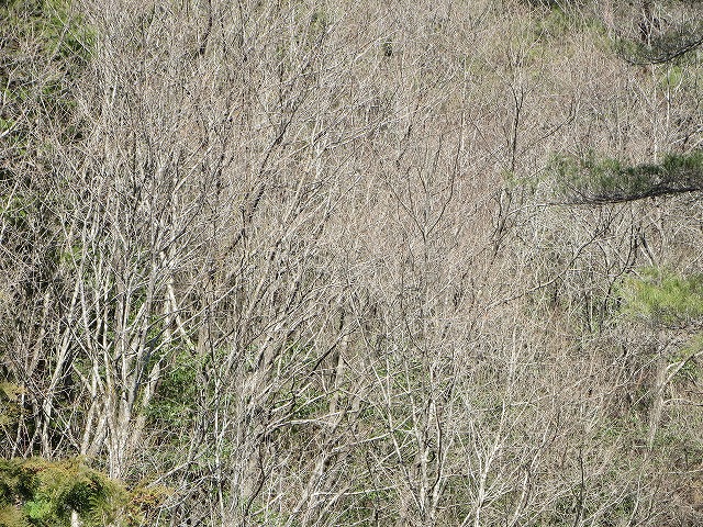 2015/03/27@My(7)