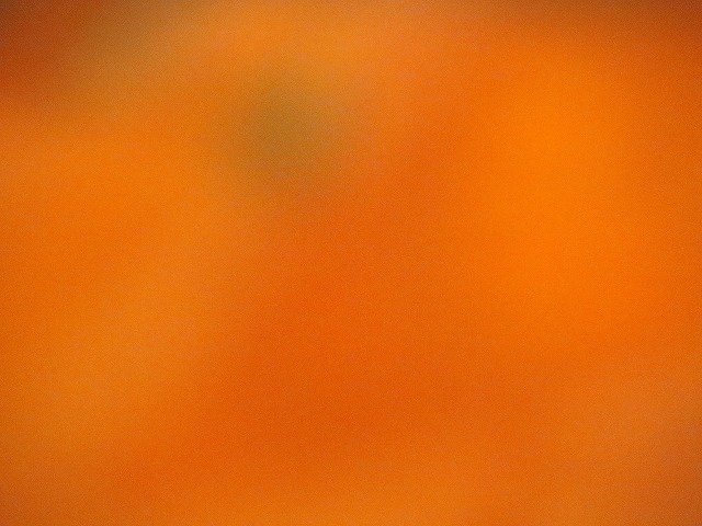 2016/10/02@鎭(4)