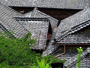 2025/05/23(1)@A隬