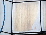2025/06/07(1)@ls