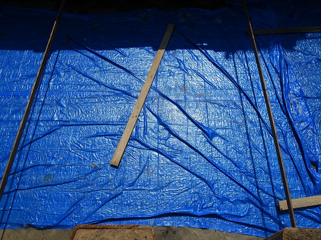 2026/03/28(4)�@����