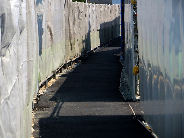 2026/03/28(5)�@����