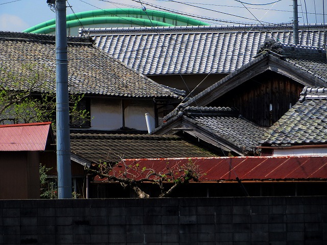 2026/04/11(1)�@���R��